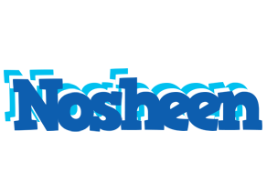 Nosheen business logo