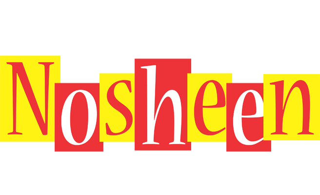 Nosheen errors logo