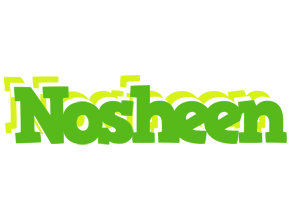 Nosheen picnic logo