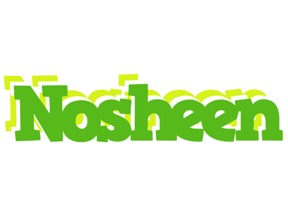 Nosheen picnic logo