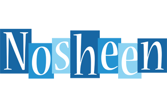 Nosheen winter logo