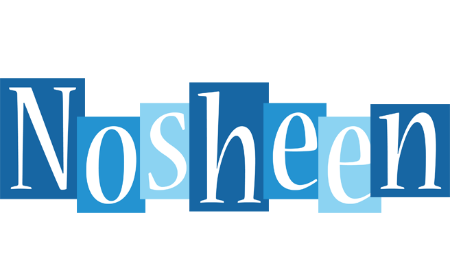 Nosheen winter logo