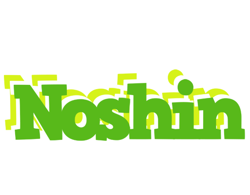 Noshin picnic logo