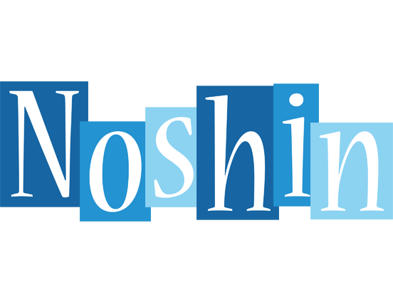 Noshin winter logo