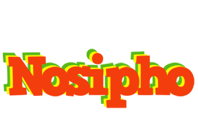 Nosipho bbq logo