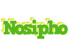 Nosipho picnic logo