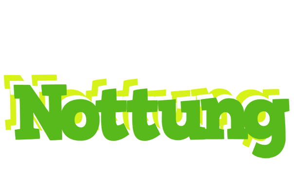 Nottung picnic logo