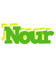 Nour picnic logo