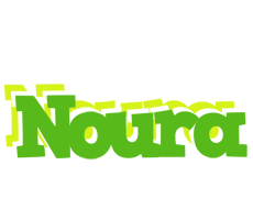 Noura picnic logo