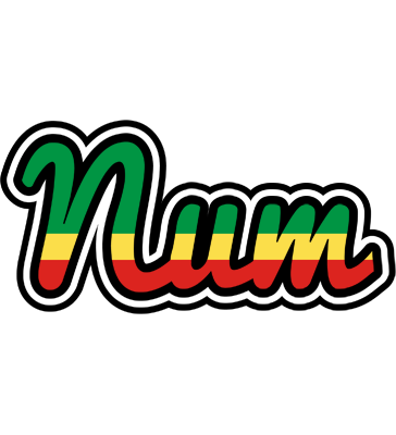 Num african logo