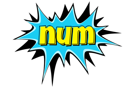 Num amazing logo