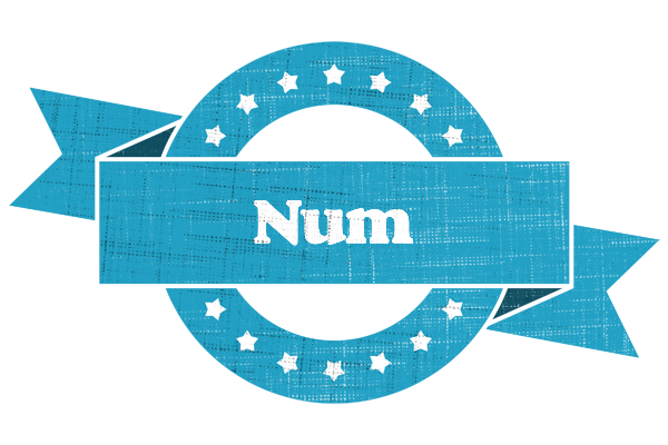 Num balance logo