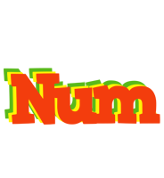 Num bbq logo