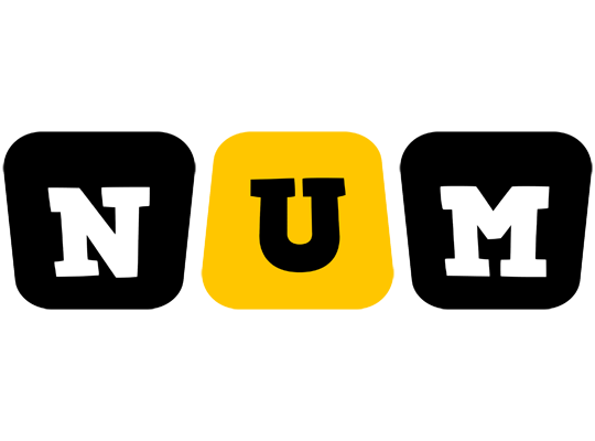 Num boots logo