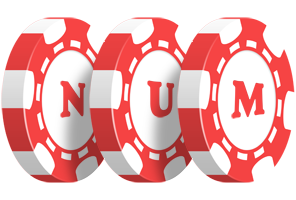 Num chip logo