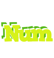 Num citrus logo