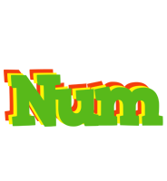 Num crocodile logo