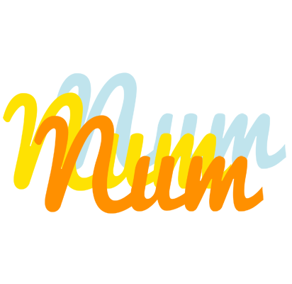 Num energy logo