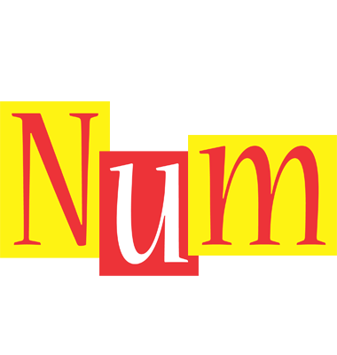 Num errors logo