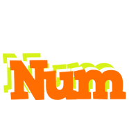 Num healthy logo