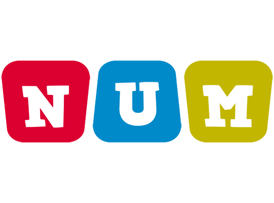 Num kiddo logo