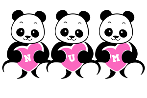 Num love-panda logo