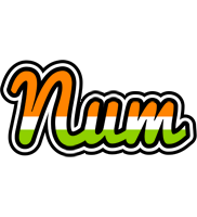 Num mumbai logo