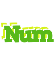 Num picnic logo