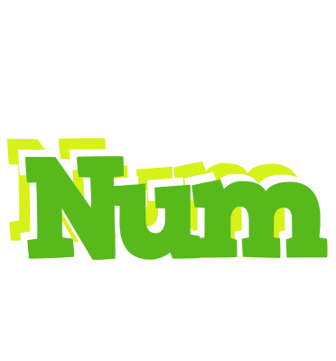 Num picnic logo