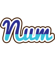 Num raining logo