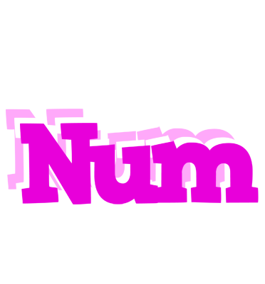 Num rumba logo