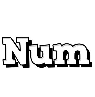 Num snowing logo
