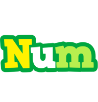 Num soccer logo