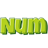 Num summer logo