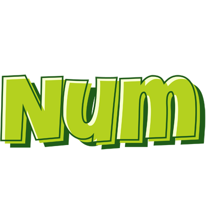 Num summer logo