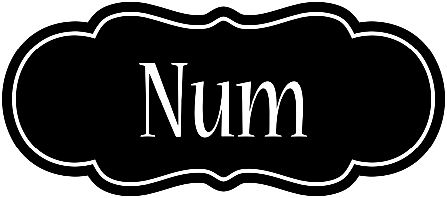 Num welcome logo