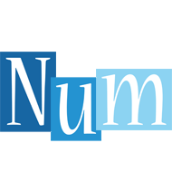 Num winter logo