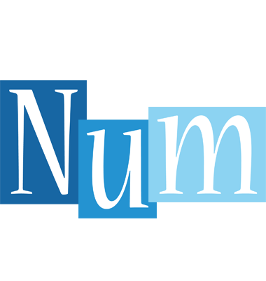 Num winter logo