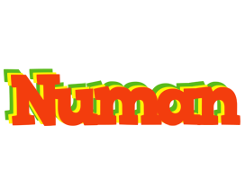 Numan bbq logo