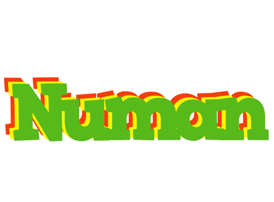 Numan crocodile logo