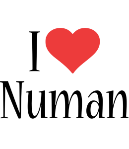 Numan i-love logo