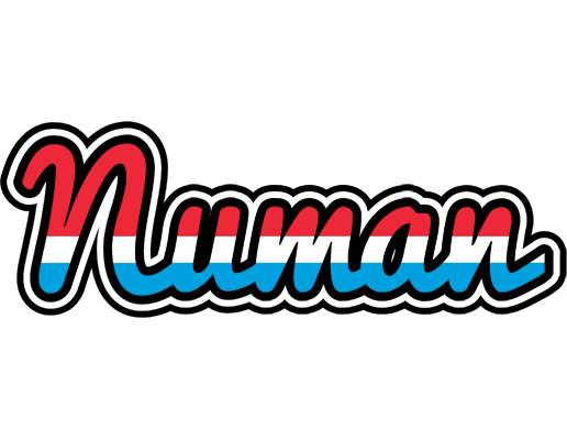 Numan norway logo