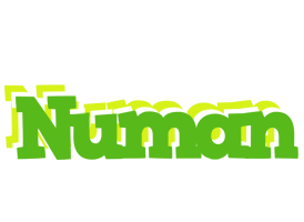 Numan picnic logo