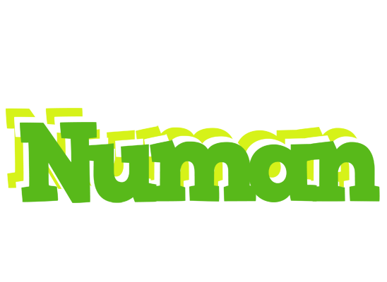 Numan picnic logo