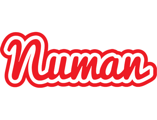 Numan sunshine logo