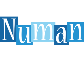 Numan winter logo