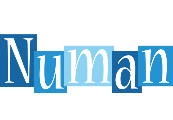 Numan winter logo