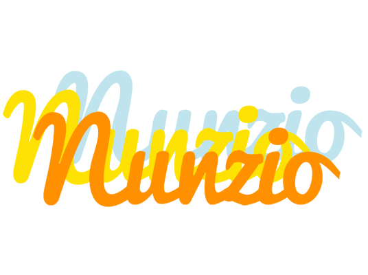 Nunzio energy logo