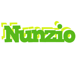 Nunzio picnic logo