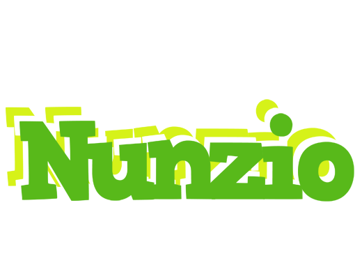 Nunzio picnic logo
